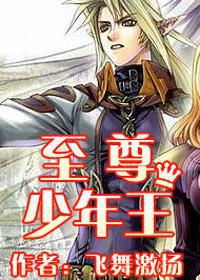 至尊少年王